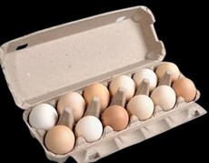 Desi egg